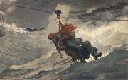Winslow Homer The Life Line (mk44) oil painting picture wholesale